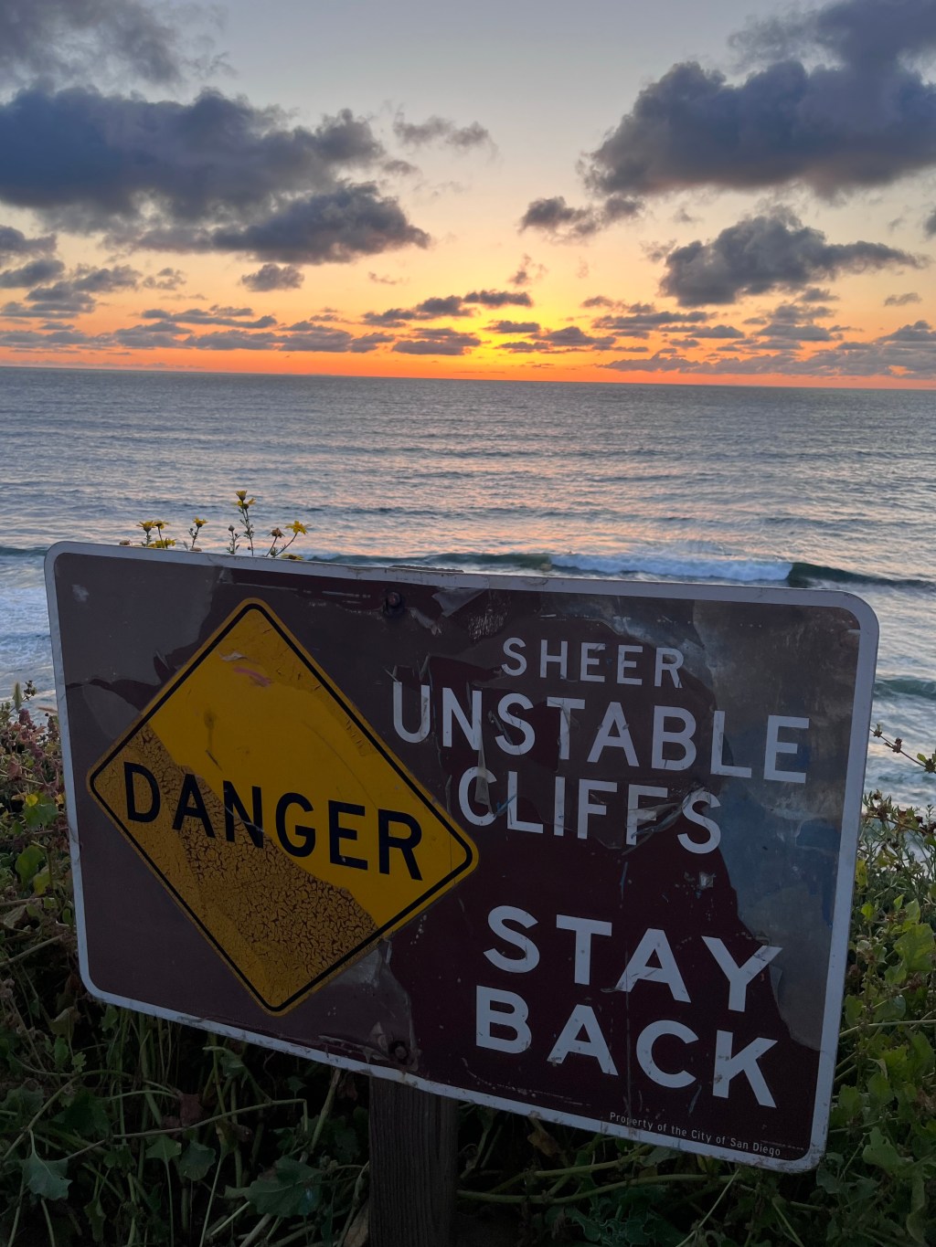 Surfing in San Diego, California&nbsp;🏄‍♂️🌊